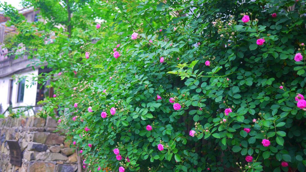Moganshan Bamboo View Guesthouse Deqing Esterno foto