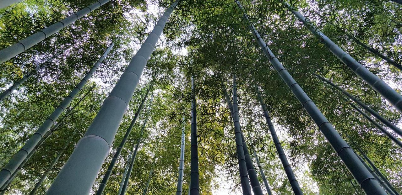 Moganshan Bamboo View Guesthouse Deqing Esterno foto